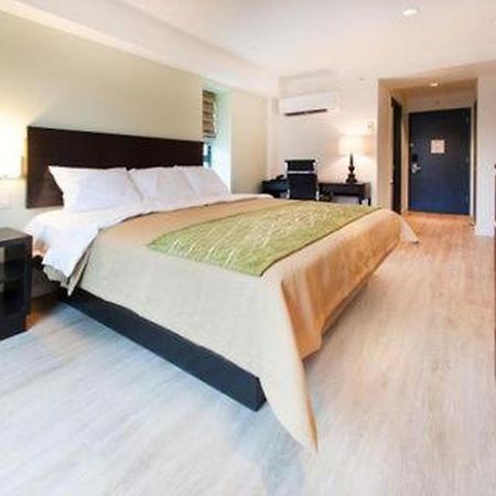 Comfort Inn & Suites - Kew Gardens Near La Guardia Airport Νέα Υόρκη Εξωτερικό φωτογραφία