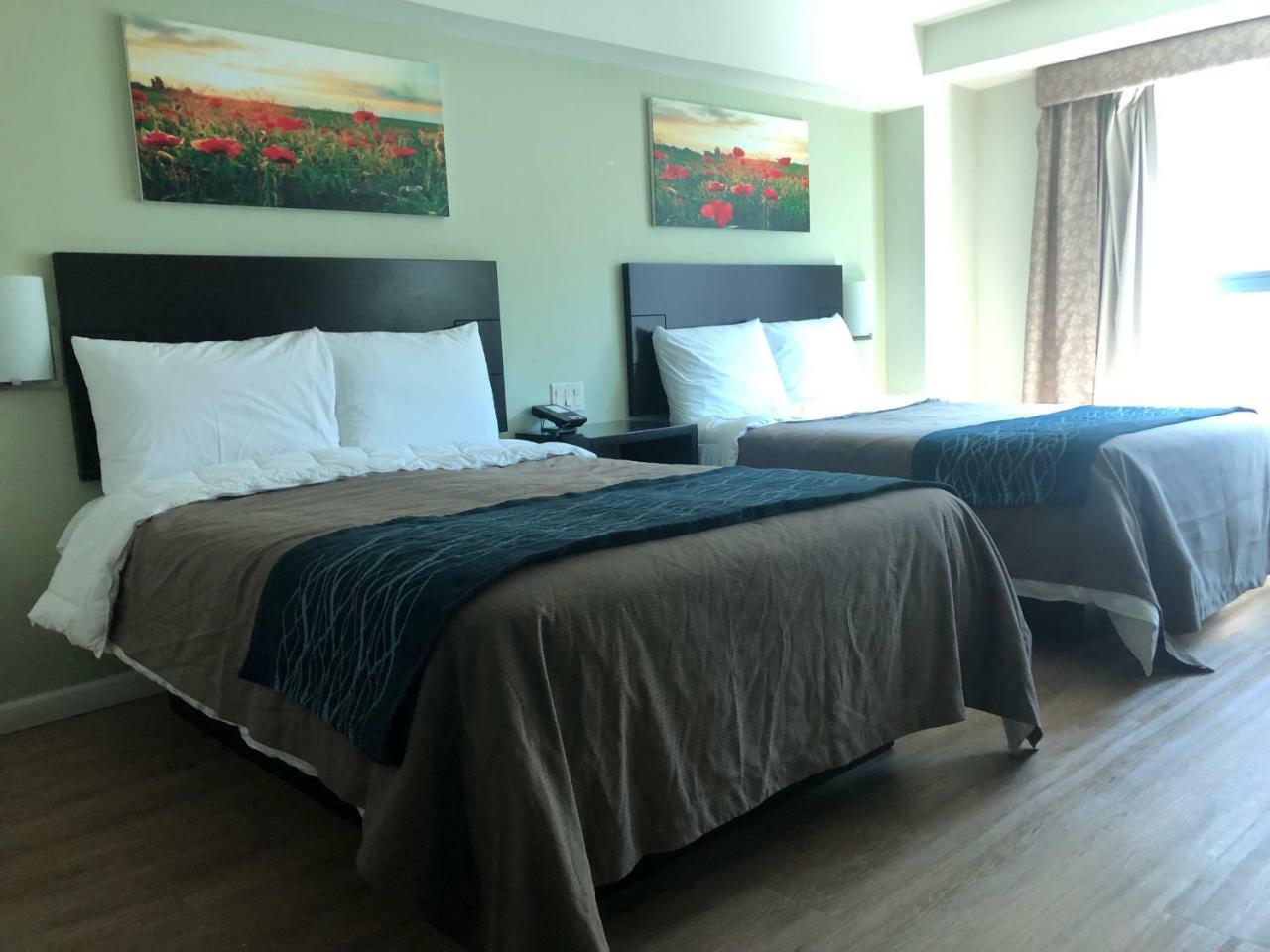Comfort Inn & Suites - Kew Gardens Near La Guardia Airport Νέα Υόρκη Εξωτερικό φωτογραφία