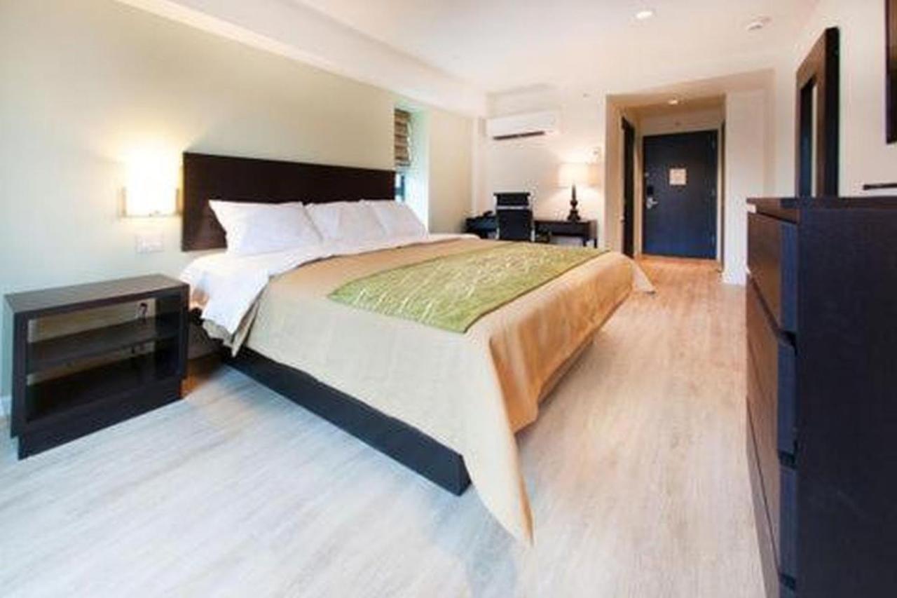 Comfort Inn & Suites - Kew Gardens Near La Guardia Airport Νέα Υόρκη Εξωτερικό φωτογραφία
